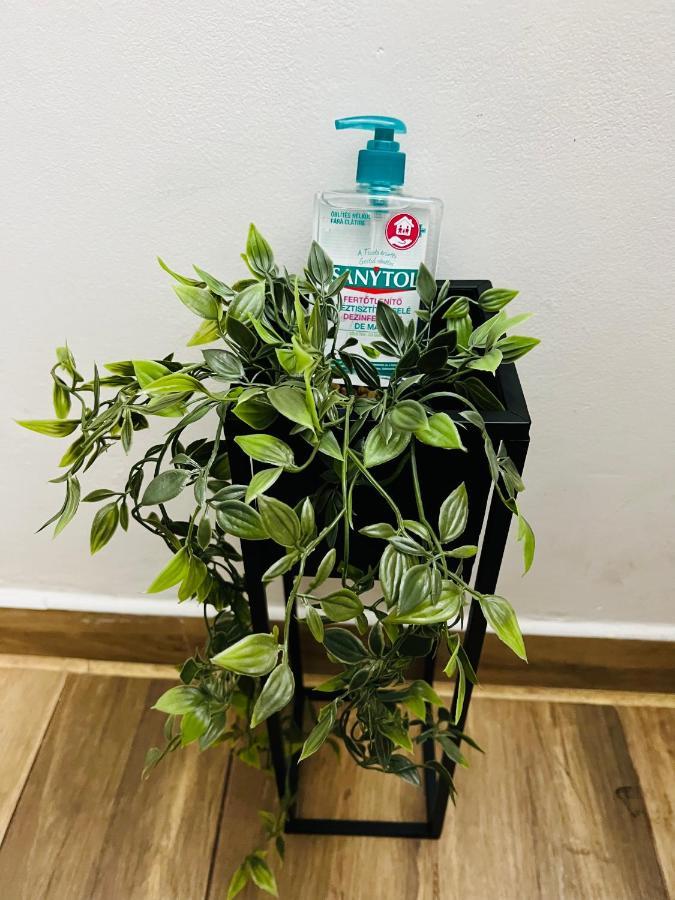 Altheda Living Tineretului E8 Leilighet Suceava Eksteriør bilde