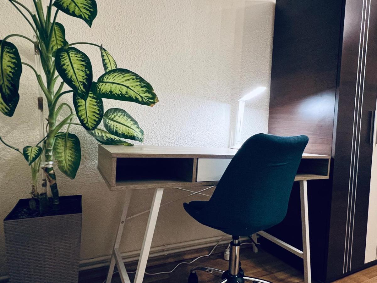 Altheda Living Tineretului E8 Leilighet Suceava Eksteriør bilde